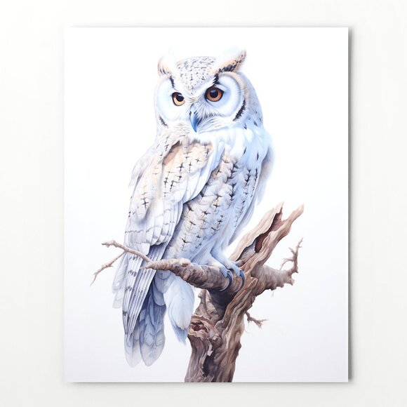 Watercolor White Owl Portrait Wall Art Illustration Print Poster Unframed - Picture 6 of 6